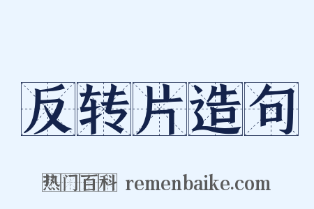 反转片造句是什么意思的图片